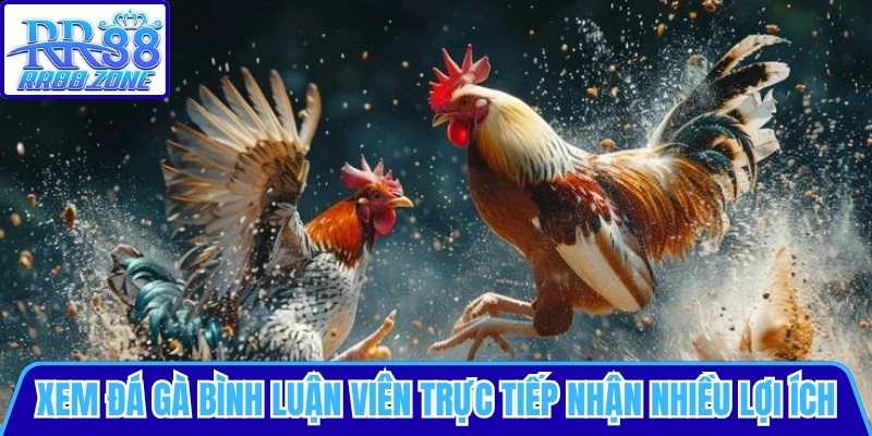 Xem đá gà bình luận viên trực tiếp nhận được nhiều lợi ích